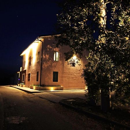 Vila La Collina Del Girasole Montecastrilli Exteriér fotografie